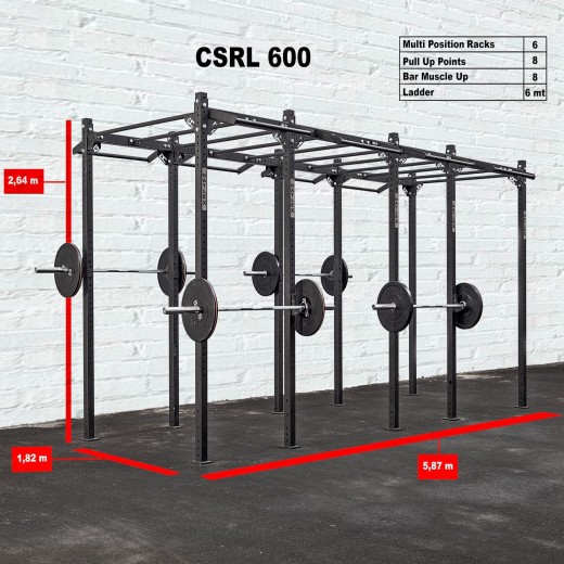 CROSS STATION + LADDER 600